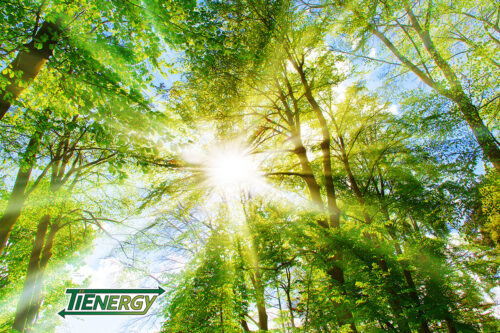 carbon footprint reduction_TiEnergy saves 1.6 million pounds of carbon this year